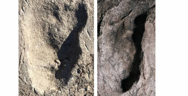Un misterioso homínido bípedo dejó sus huellas hace más de tres millones de años en Tanzania