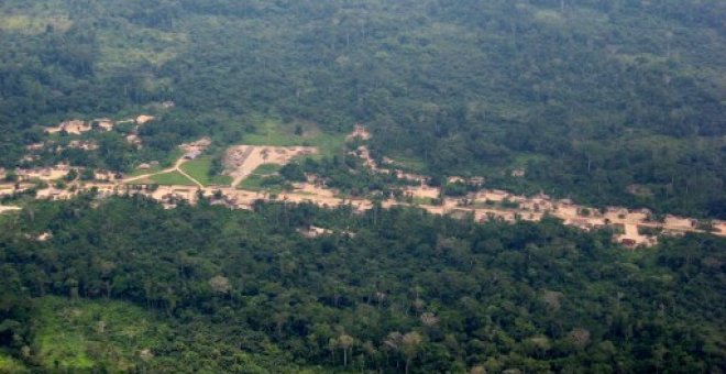 La hipocresía de la UE: destina fondos para la reforestación de la Cuenca del Congo mientras empresas europeas la expolian