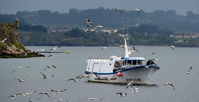 La difícil tarea de salvaguardar los mares de Europa sin dejar caer a la industria pesquera