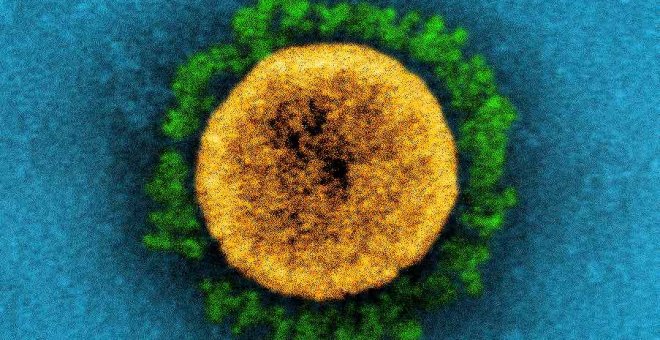 Principia Marsupia - ¿El coronavirus podría seguir mutando indefinidamente?