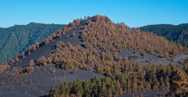 Continúan algunos peligros volcánicos en La Palma y piden no aproximarse a las coladas