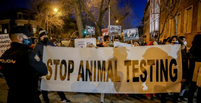 Más de un millón de firmas contra el sacrificio de 32 cachorros de beagle por parte de Vivotecnia