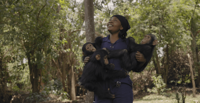 'Mama', corto ganador del Goya: mujeres violadas y chimpancés bebés