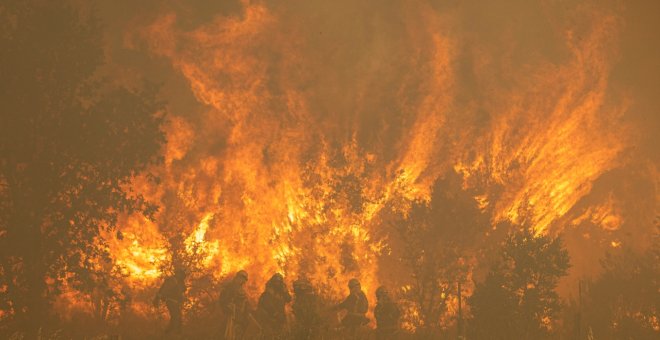 "Los incendios se apagan en invierno": la crítica de los bomberos forestales a la falta de prevención de la Junta de Castilla y León