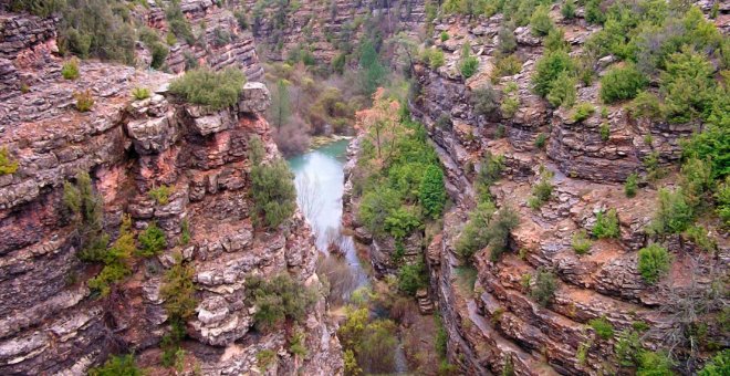 Naturaleza en estado puro o cómo dejarse atrapar por los tesoros que esconde la provincia de Cuenca