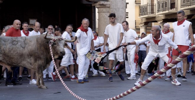 El maltrato animal está presente en casi 17.000 fiestas al año en España