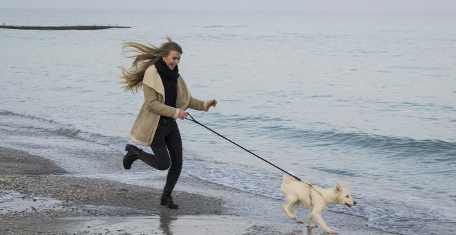 Animalistas exigen ir a la playa con perros porque "son miembros de la familia"
