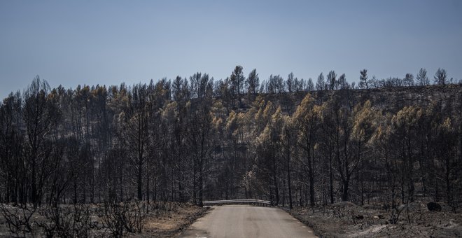 Estabilizan el incendio de Bejís tras haber calcinado unas 20.000 hectáreas de monte en el País Valencià