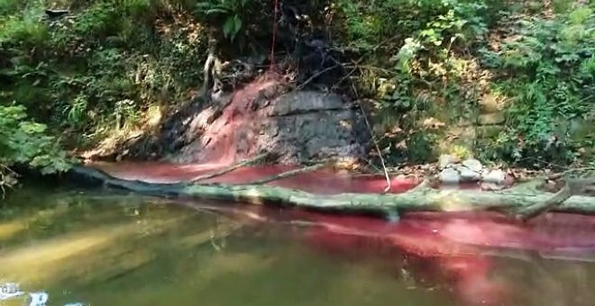 Ecologistas denuncian el vertido de sangre de un matadero a un río de Gipuzkoa