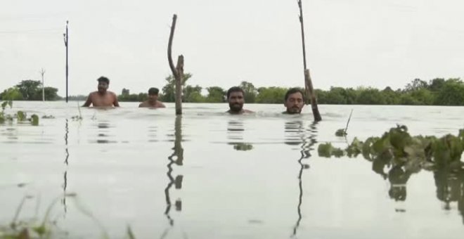 Las inundaciones en India destrozan los cultivos de trigo