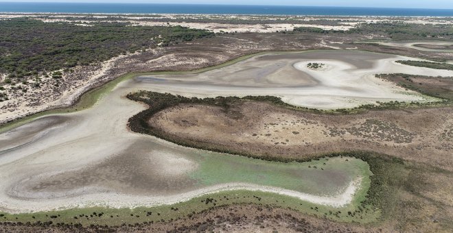 Más de mil hectáreas de invernaderos en el entorno de Doñana usan riego ilegal