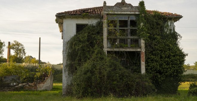 La vida que nace del abandono: entre ruinas de fábricas y casas
