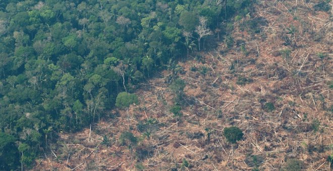 Otras miradas - Lula y Petro piden ayuda al mundo para proteger la Amazonia
