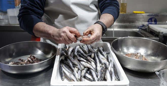 La mayoría de especies de pescado de consumo humano tienen concentraciones de mercurio por encima de las seguras