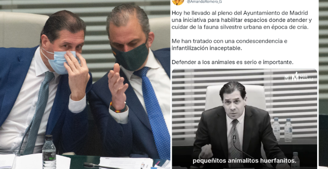 La "repugnante" reacción de un concejal de Vox tras una iniciativa de Más Madrid para defender a los animales