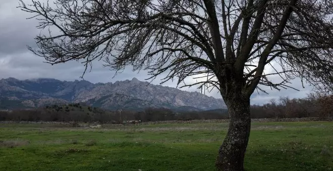 Octubre, noviembre y diciembre, los meses con menos nieve en la Sierra de Madrid desde que hay datos