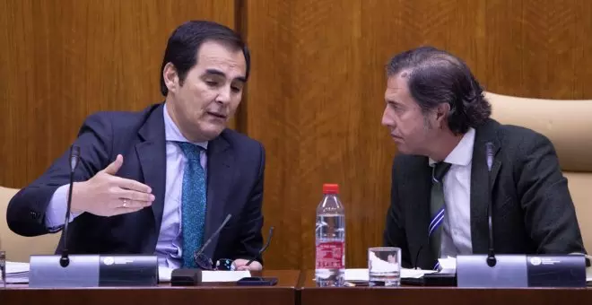 Un consejero del PP de Andalucía, sobre García-Gallardo: "Tener un vicepresidente sin competencias es tirar el dinero"