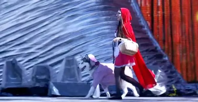 El caniche Chanel triunfa en el carnaval canino de Las Palmas con la fantasía 'Platinium'