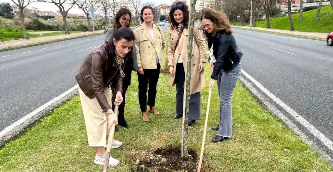 El Ayuntamiento reanuda la plantación de árboles en la S-20