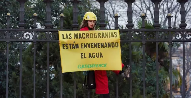 Greenpeace bloquea las entradas del Ministerio de Agricultura para exigir el fin de las macrogranjas