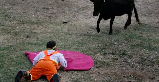 El Congreso aprueba la ley que prohíbe espectáculos de toreros con enanismo