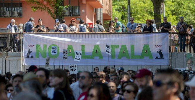 Alianza Verde lleva a Almeida y a Ayuso ante la Fiscalía por las talas en el Paisaje de la Luz