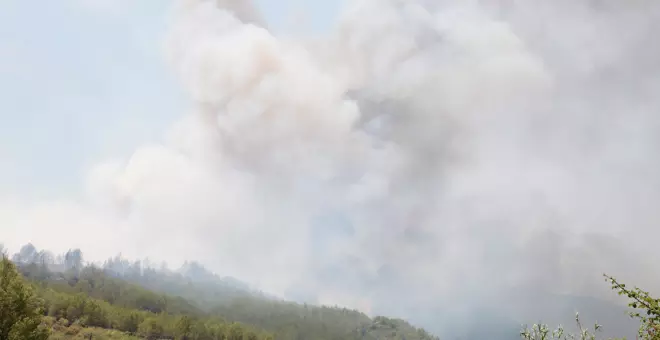 Estabilitzat incendi forestal al Pont d'Armentera