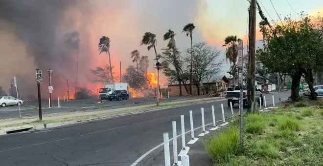 Los incendios forestales en una isla de Hawái dejan al menos 36 muertos y miles de evacuados