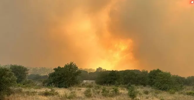 Controlat l'incendi de la Catalunya Nord després d'arrasar 500 hectàrees