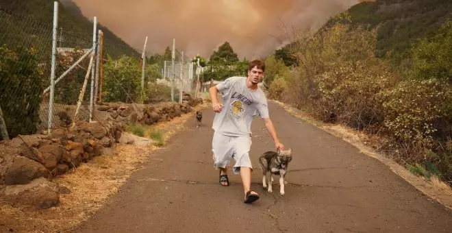 El incendio de Tenerife sigue sin control y ya ha arrasado 800 hectáreas