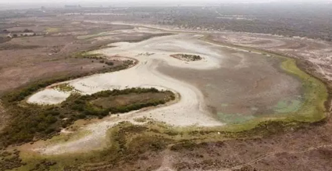 Solo 36 explotaciones se llevan más de un tercio del agua de uso legal en el entorno de Doñana