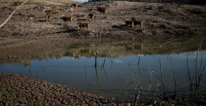 Catalunya extrema el ahorro de agua: todas las claves sobre la situación de preemergencia por sequía
