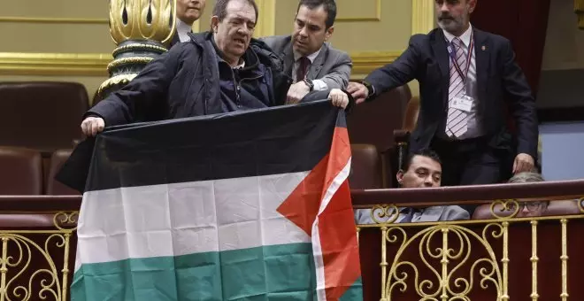 Activistas despliegan banderas palestinas en el Congreso durante la comparecencia de Albares