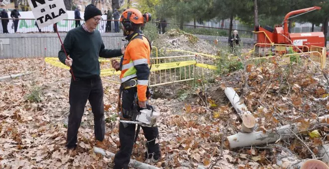 "Es una salvajada ilegal": vecinos de Madrid se plantan contra la tala masiva de árboles de Ayuso y Almeida