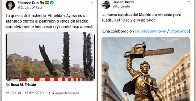 "Esto es lo que nos espera: tala, chiringuito, tala": nuevo arboricidio de Almeida y Ayuso en Madrid