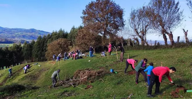 Voluntarios plantan 400 árboles en el corredor forestal del municipio