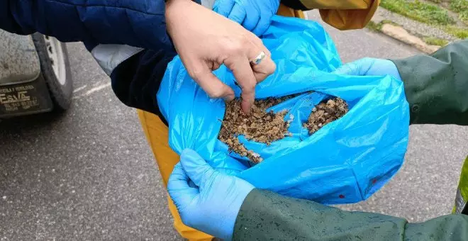 Cantabria pide al Estado recoger pellets en alta mar y colaborar en la limpieza de las playas