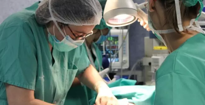 Castilla-La Mancha cierra 2023 con un récord histórico de donaciones de órganos y tejidos