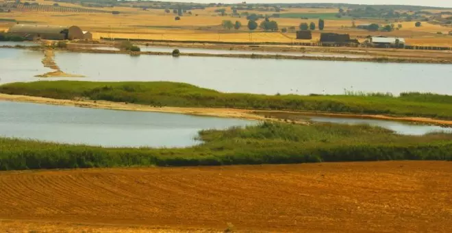 El Gobierno de Castilla-La Mancha celebra el Día Mundial de los Humedales con actividades gratuitas en espacios naturales