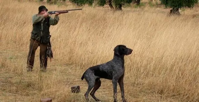 Santander pide el fin de la caza con perros