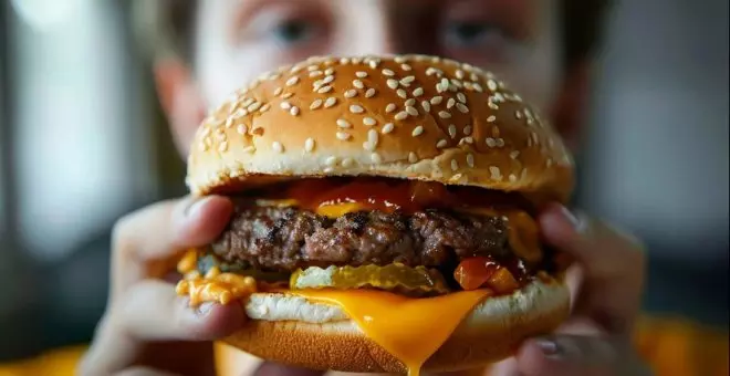 La dieta de comida basura en adolescentes se relaciona con problemas de memoria a largo plazo