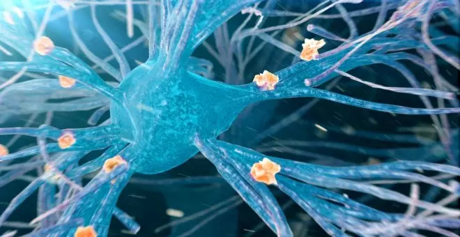 Investigadores españoles identifican una nueva forma genética del alzhéimer