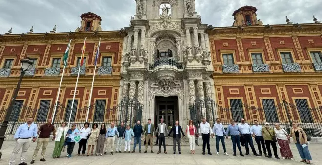 La rebelión de los alcaldes de la comarca de Osuna contra Moreno Bonilla por el colapso sanitario