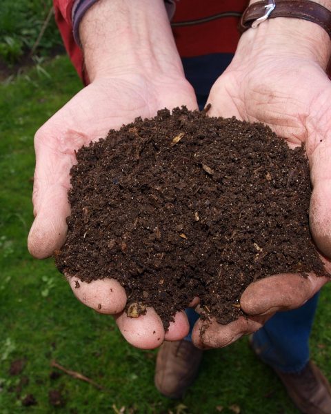 Manos con compost