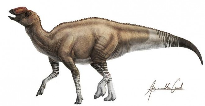 Cuerpo de 'Aquilarhinus' / ICRA Art Institut Català de Paleontologia Miquel Crusafont