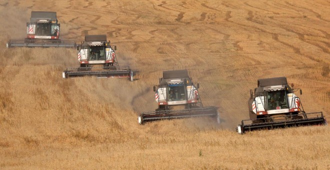 Cosechadoras de trigo en la aldea de Ogur, en la región de Krasnoyarsk, Rusia.- REUTERS / Naymushin