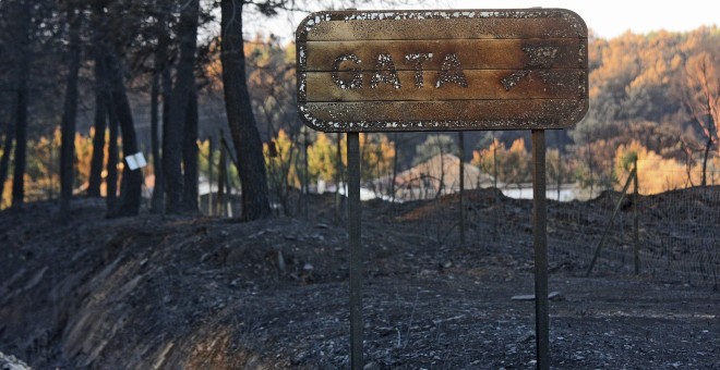 arretera del Puerto Perales, que une las provincias de Salamanca y Cáceres, muy afectada por las llamas del incendio de la Sierra de Gata. EFE/Carlos García