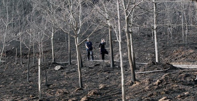 El incendio declarado este sábado en Igantzi y que tuvo su origen en la caída de un árbol sobre un tendido eléctrico, también ha afectado a zonas arboladas de monte del término de Lesaka, y ha sido controlado este domingo por la mañana por los efectivos