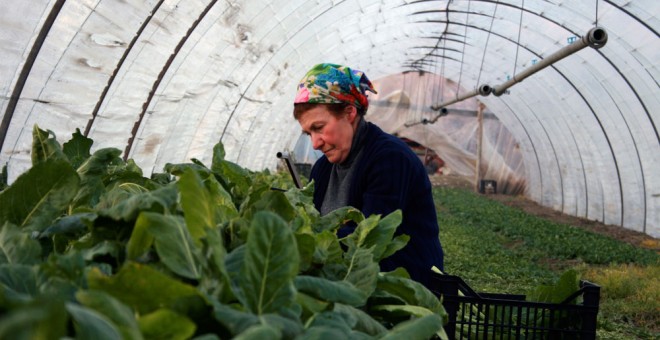 Fotograma de 'El lugar de las fresas', el documental que inaugurará el festival.