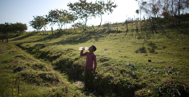 Una prolongada sequía golpea Cuba / REUTERS